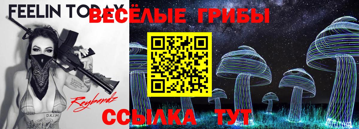 Галлюциногенные грибы Magic Shrooms  Псилоцибиновые грибы Psilocybe  Вход с VPN  Вольск 