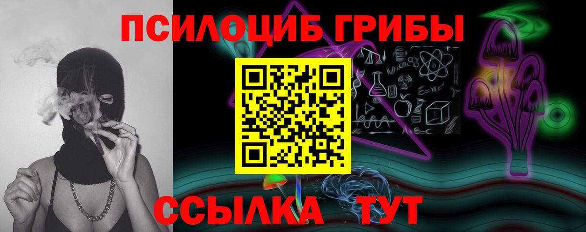 Псилоцибиновые грибы Cubensis Вольск