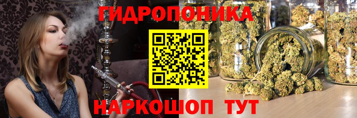Вольск  МАРИХУАНА AK-47  Марихуана план  Вход с VPN  Марихуана ГИДРОПОН 